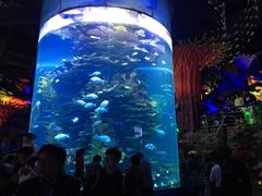 -泉城欧乐堡海洋极地世界