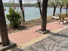 -杨柳青庄园