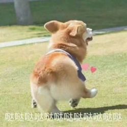 -丽妍雅集 Rubis SPA