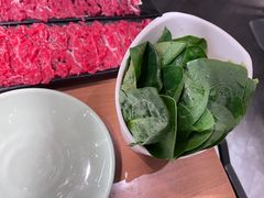 -掂档潮汕牛肉火锅(沈阳万象城店)