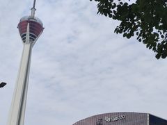 -成都市活水公园