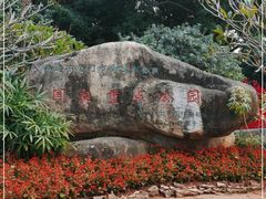 -白鹭洲公园