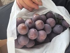 -马陆小张葡萄园农家乐