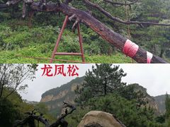-藏山旅游风景区