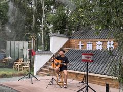 -十亩森林