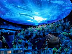 -陕西自然博物馆