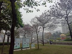 -文华公园(禅城区)