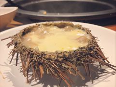 -海味当家·蒸锅海鲜(星海公园店)