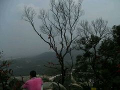 山顶俯视-云洞岩风景区