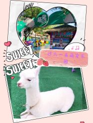 -萌宠亲子动物乐园(槐房万达店)