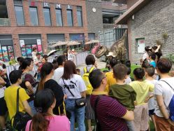 -恐龙探索乐园(磁器口店)