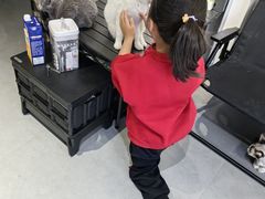 -琪喵猫屋·撸猫猫咖·猫舍