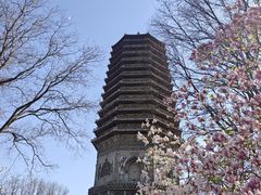 -玲珑塔公园