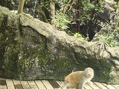 -千岛湖东南湖区