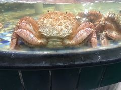 -森谷美食公园(杨行店)