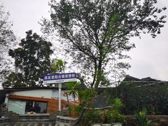 -恩阳古镇