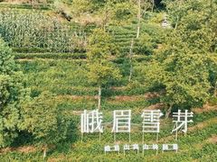 -峨眉山风景名胜区
