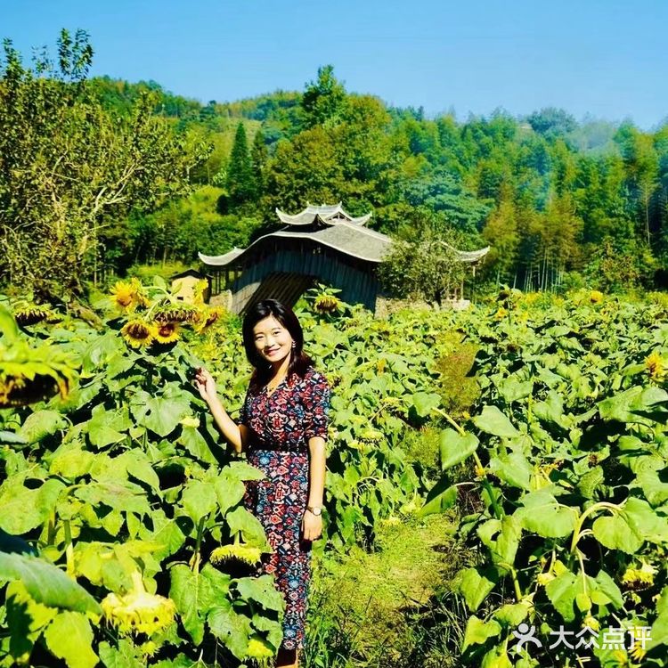 被誉为温州古建筑博物馆的泰顺筱村，有十大必打卡的地方