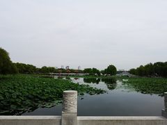 -长春市南湖公园