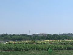 -廊坊文化艺术中心