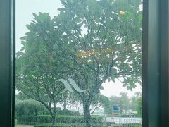 -蛇口希尔顿南海酒店·随轩中餐厅·粤菜