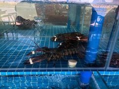 -必点蒸汽海鲜(止锚湾店)
