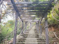 -缥缈峰景区