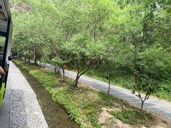 -野三坡百里峡景区