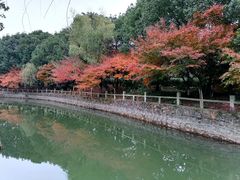 -九龙潭景区