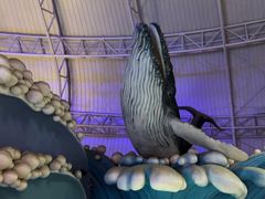 -烟台海昌鲸鲨海洋公园