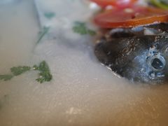 -全乐鱼馆·淳牌有机鱼直营店