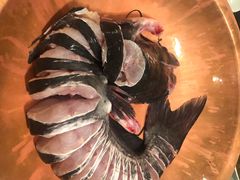 -云渔堂蒸汽石锅鱼(万达店)