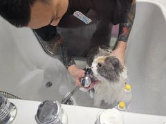 -FAELING PETS美天灵宠物(富力广场店)