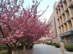 -青岛市图书馆