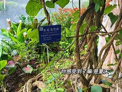 -中国科学院西双版纳热带植物园