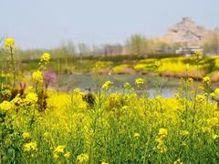 -南山植物园
