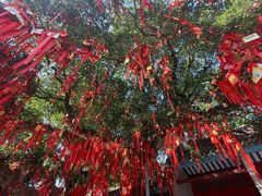 -国恩寺