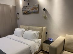 -欧辰国际酒店(重庆欢乐谷轻轨站店)