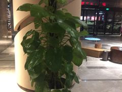 -巴斯漫温泉汗蒸馆(贡湖大道店)