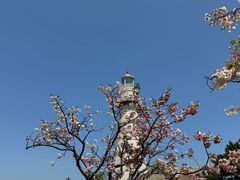 -悦海公园