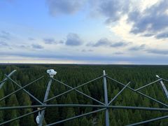 -黄海国家森林公园