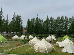 -前小桔亲子创意农场·草莓采摘·露营烧烤