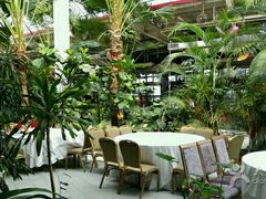 -红栌温泉山庄生态美食餐厅