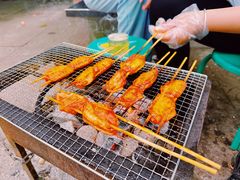 -上海共青森林公园