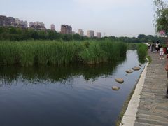 -前关湿地公园