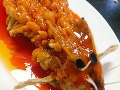 -丁老爷子苏香圆