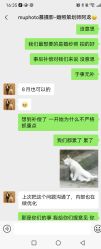 -Mu慕婚纱摄影·超级工作室