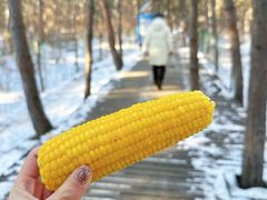 -帽儿山国家森林公园