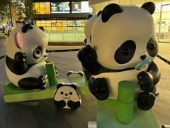 -东莞松山湖万象汇