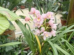 -国家植物园南园